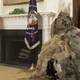 Image for article titled The Onion Remembers Steve Bannon, Trump’s Most Encrusted Advisor